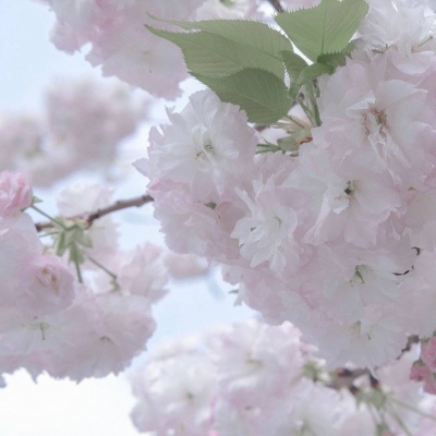 兽设天空场景绘制福瑞交流群